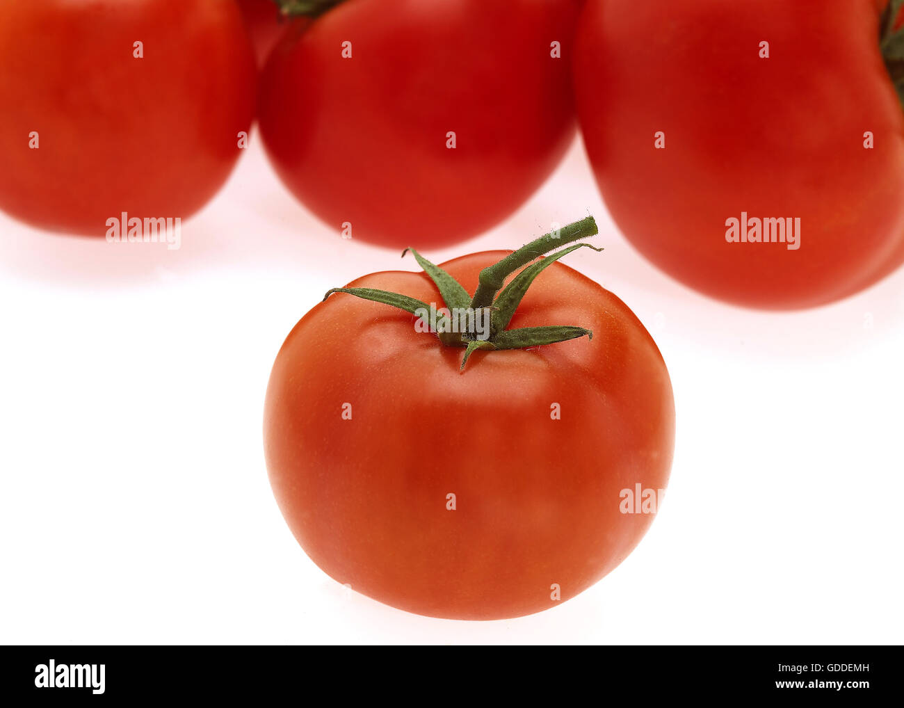 RED TOMATOES AGAINST WHITE BACKGROUND Stock Photo