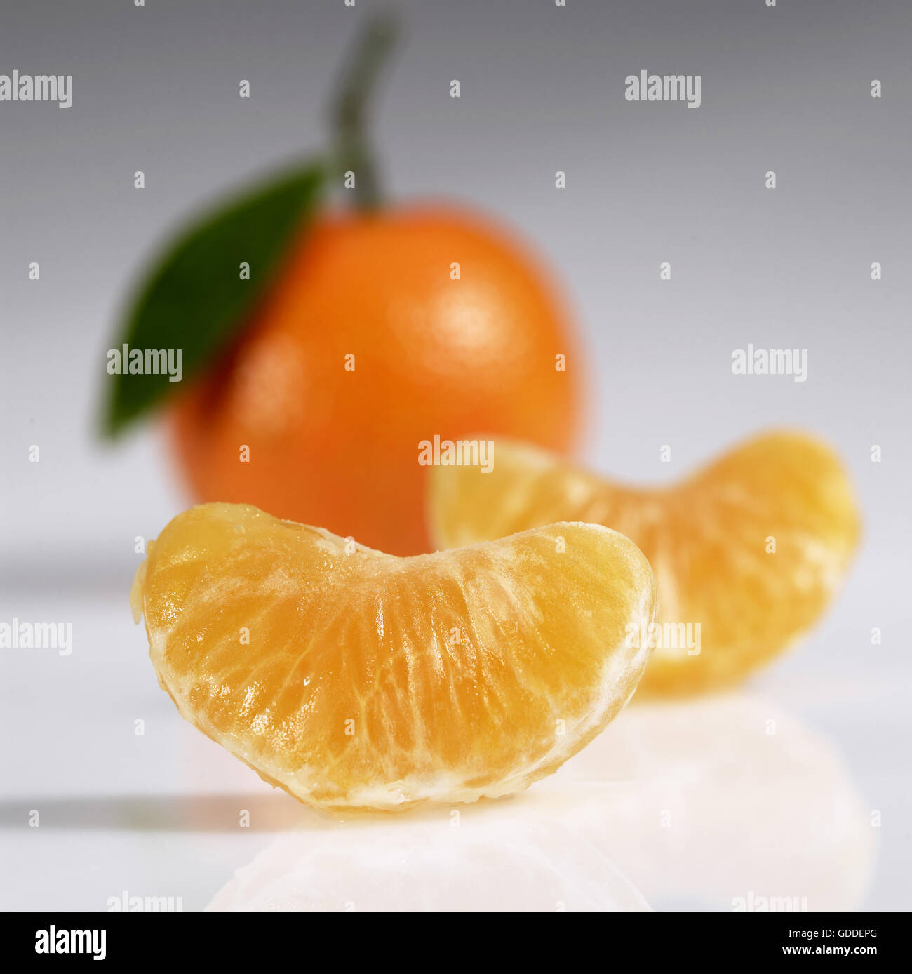 Clementine Fruit, citrus reticulata against White Background Stock Photo