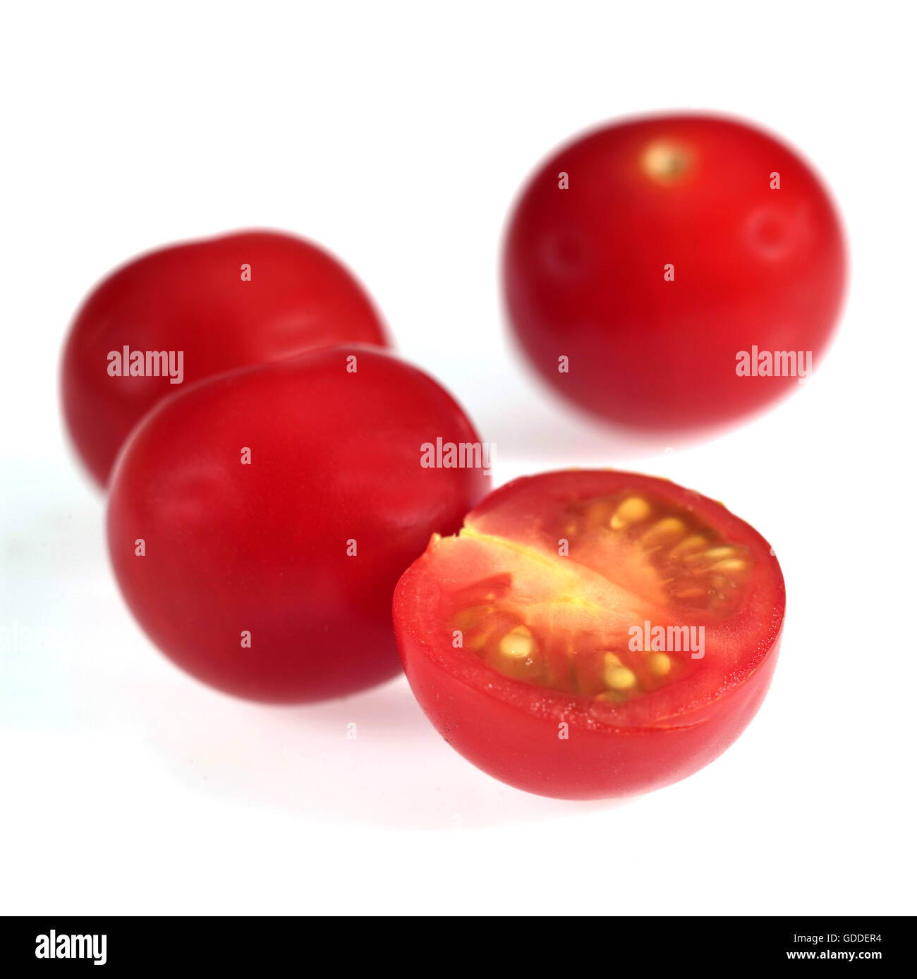 Cherry Tomatoes, solanum lycopersicum against White Background Stock Photo