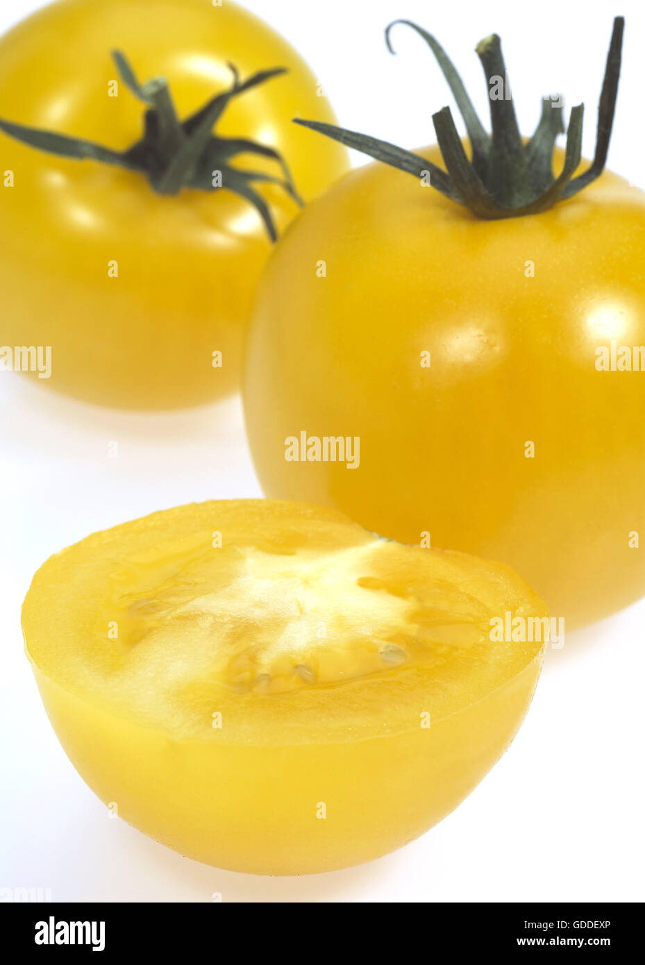 Yellow Tomatoes, solanum lycopersicum against White Background Stock Photo