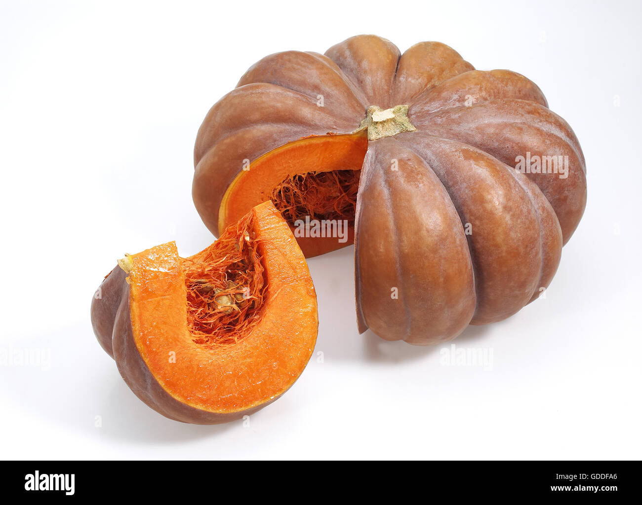 Pumpkin, cucurbita maxima, Gourd against White Background Stock Photo