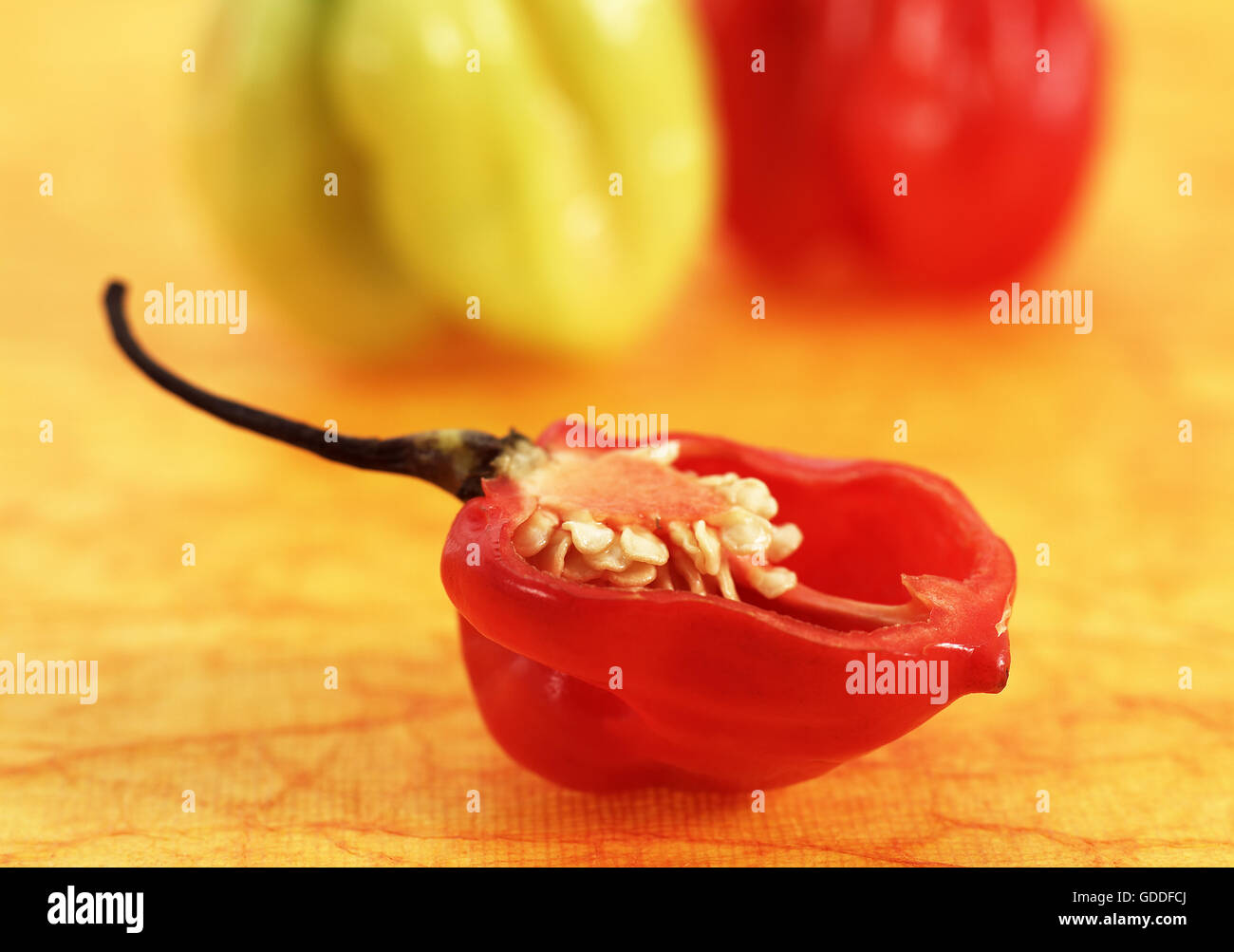 Hot pepper capsicum sp hires stock photography and images Alamy
