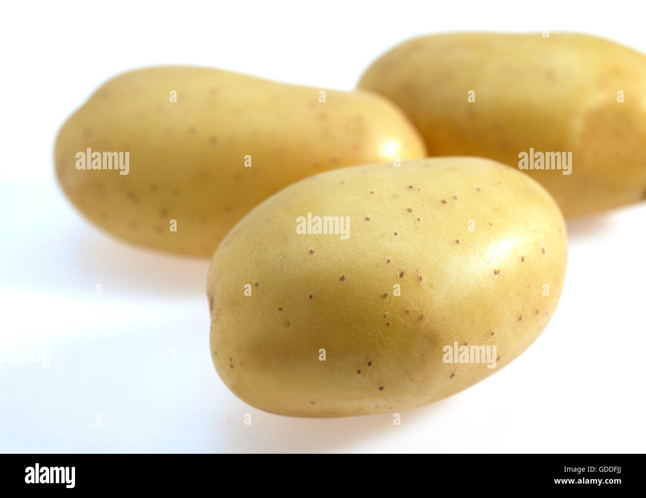 Mona Lisa Potato, solanum tuberosum, Vegetables against White Background Stock Photo
