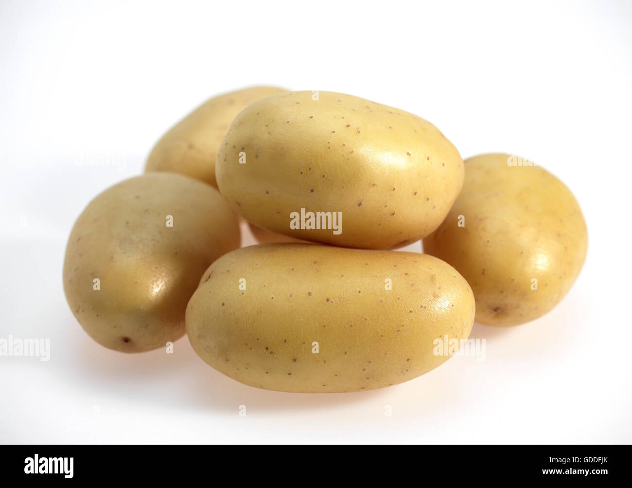 Mona Lisa Potato, Solanum tuberosum, Vegetables against White Background Stock Photo