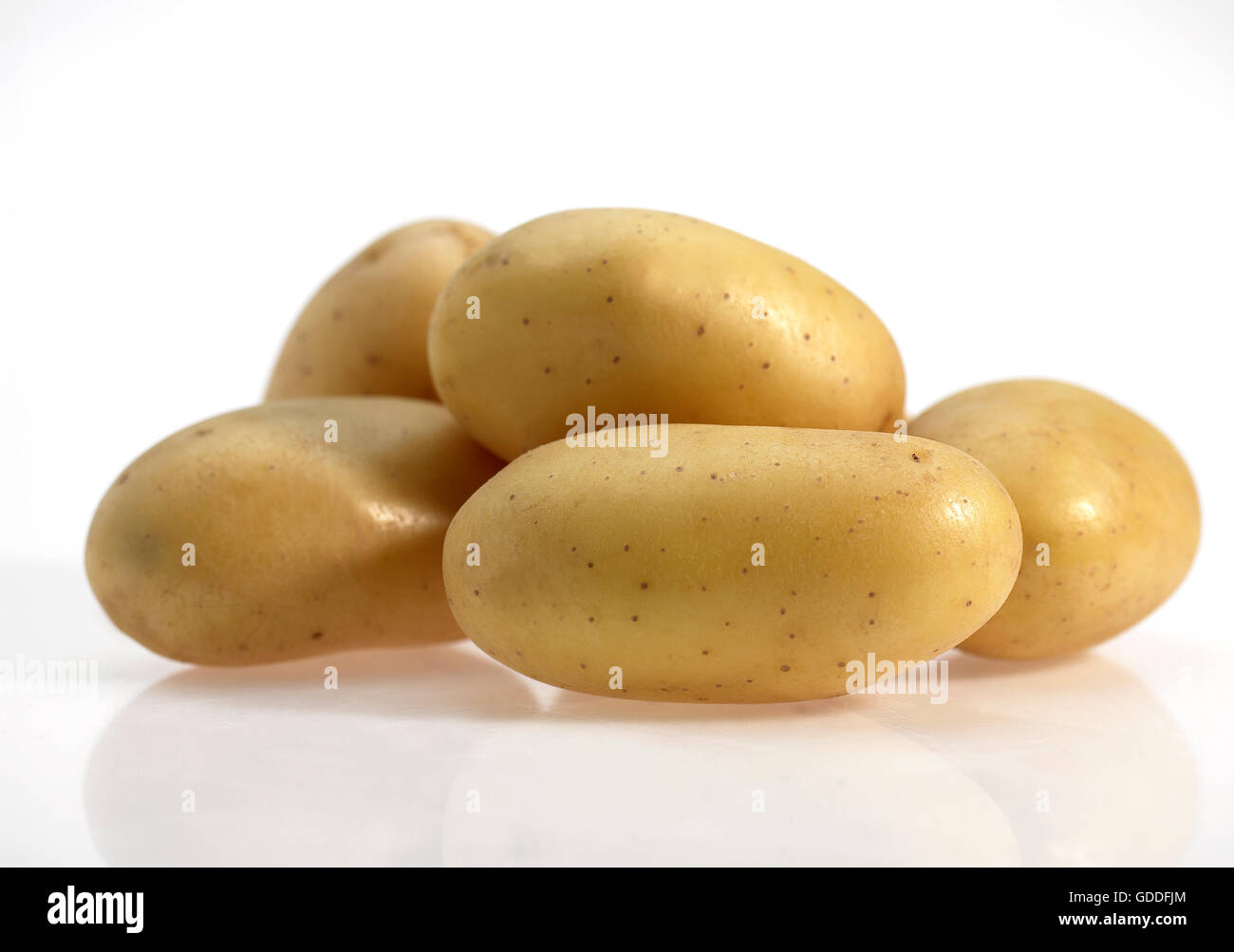 Mona Lisa Potato, solanum tuberosum, Vegetable against White Background Stock Photo