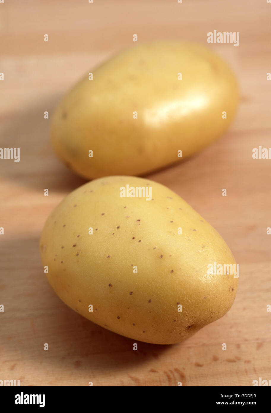 Mona Lisa Potato, solanum tuberosum Stock Photo - Alamy