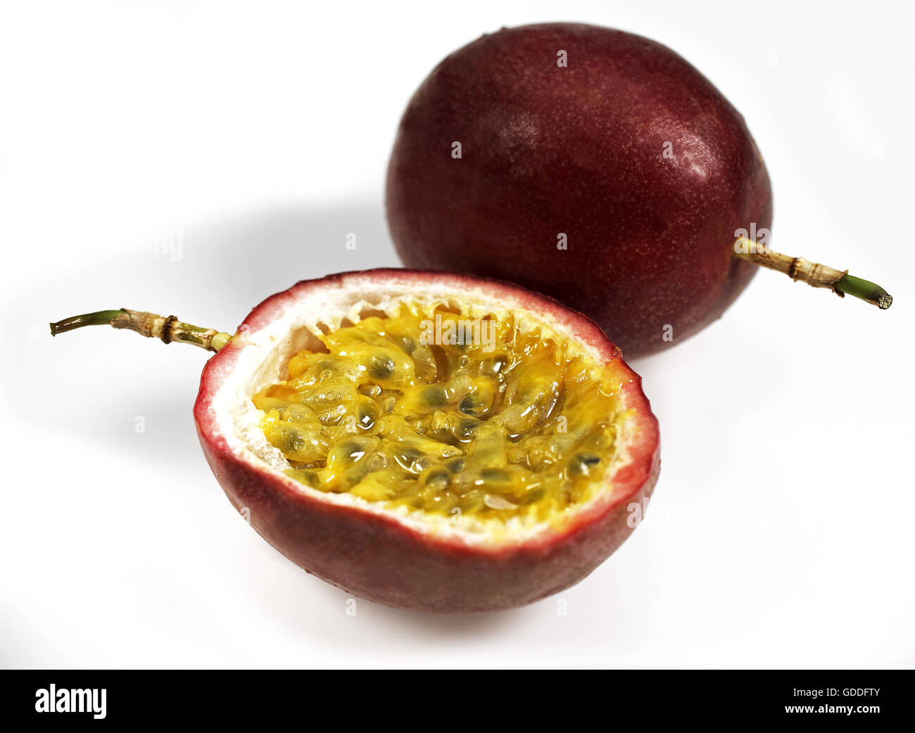 Passion Fruit, passiflora edulis against White Background Stock Photo