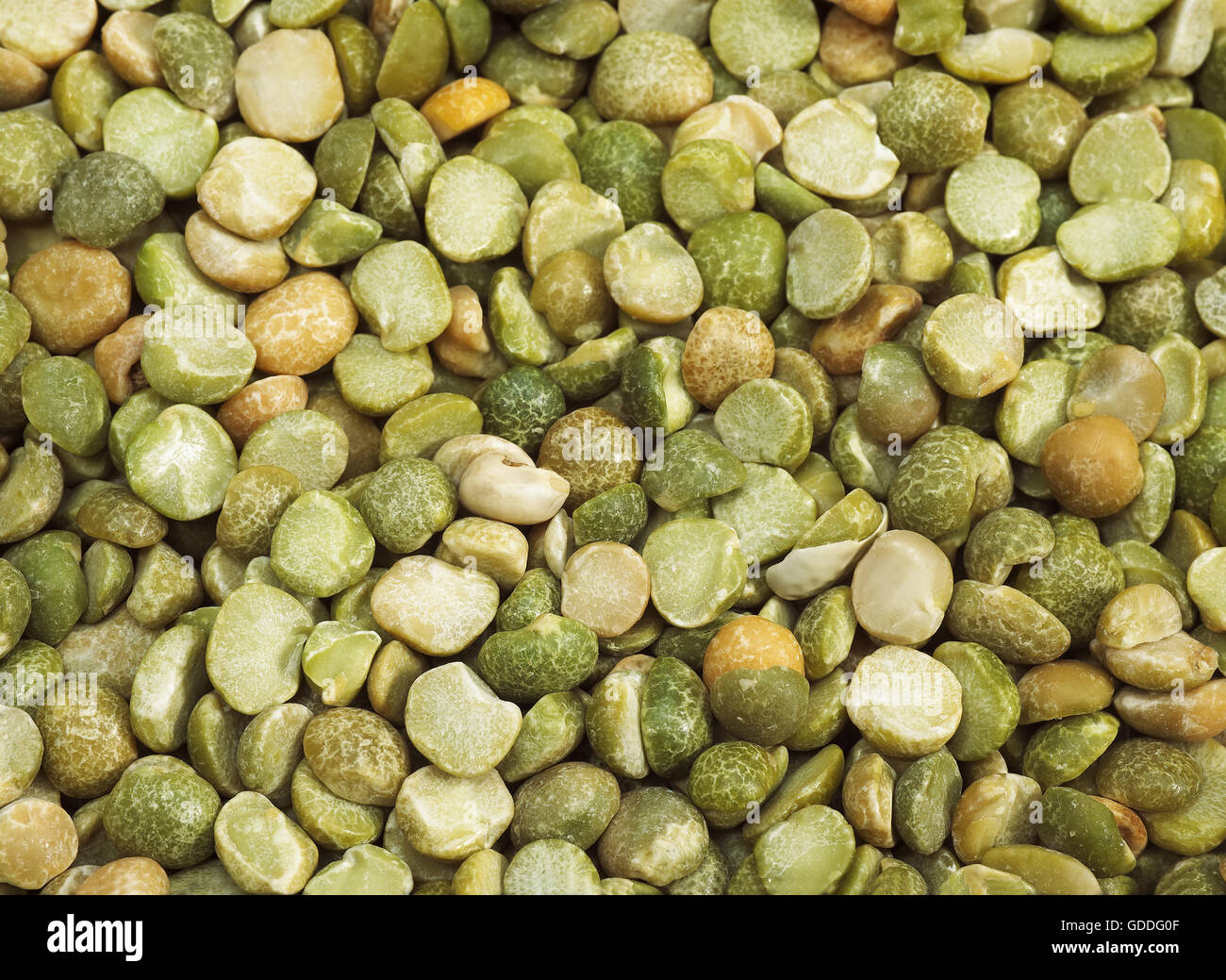 Split Peas, pisum sativum, Dry vegetables Stock Photo Alamy
