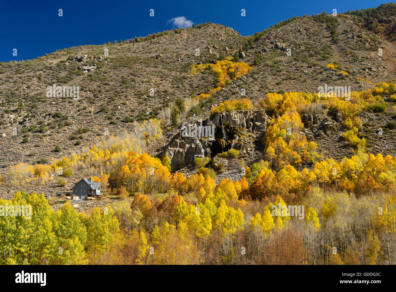 USA,California,Eastern creek,foliage,fall,autumn