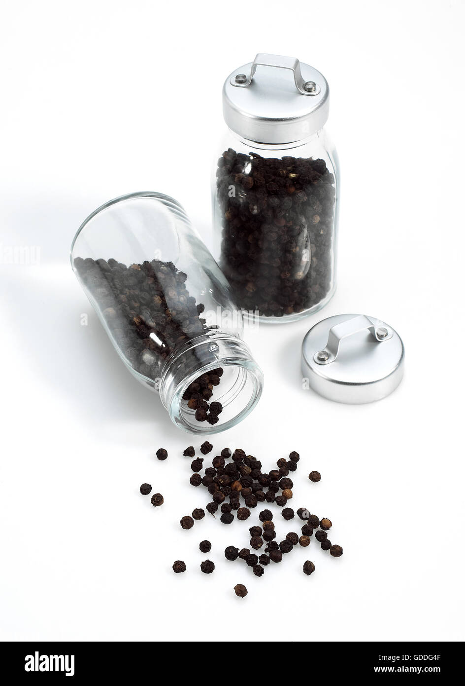 Black Peppercorn, piper nigrum, Black Berries against White Background