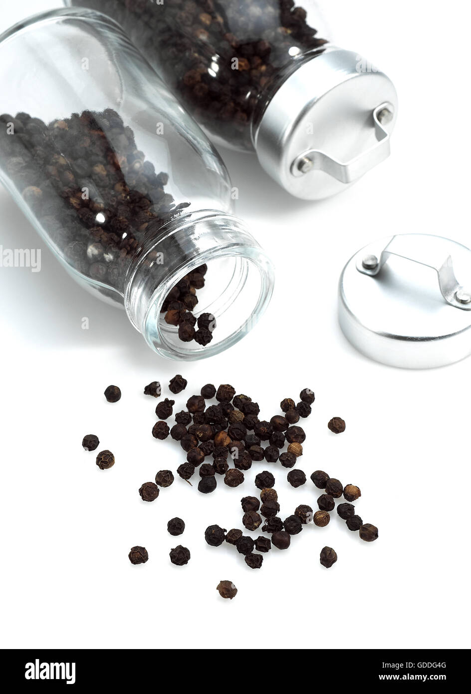 Black Peppercorn, piper nigrum, Black Berries against White Background