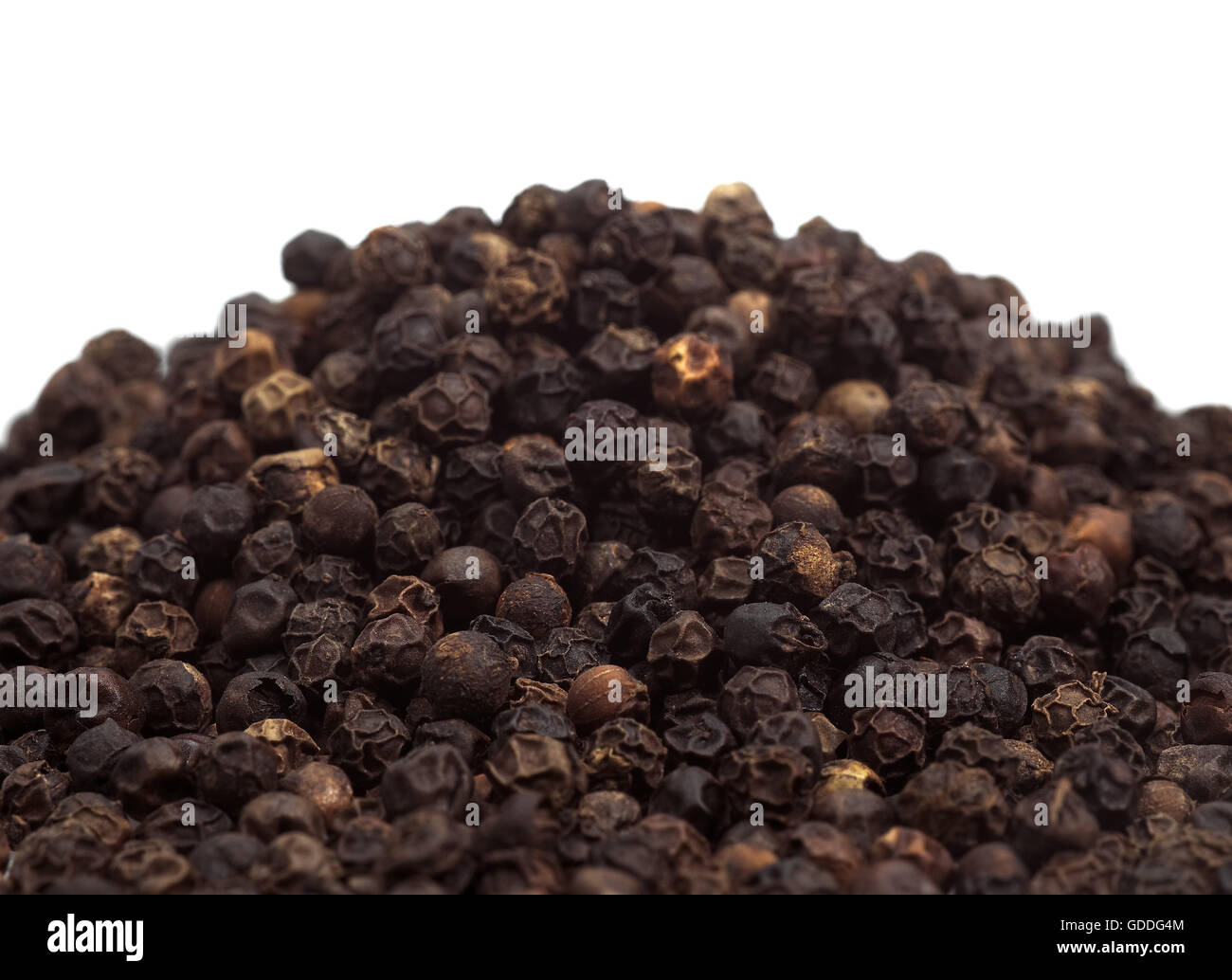 Black Peppercorn, piper nigrum against White Background Stock Photo