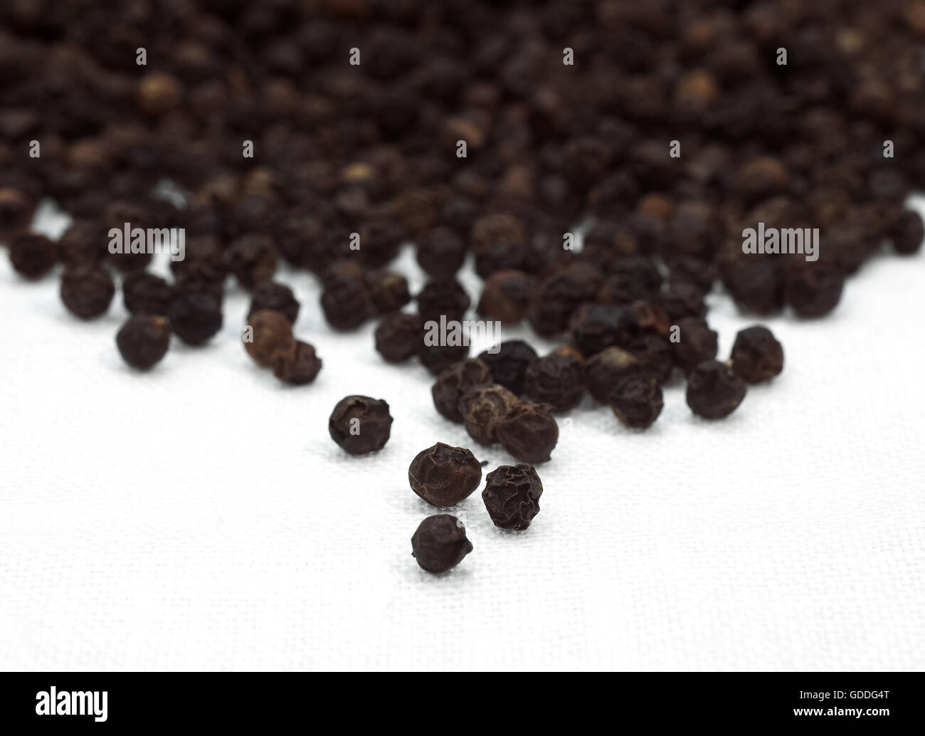 Black Peppercorn, piper nigrum, Black Berries against White Background