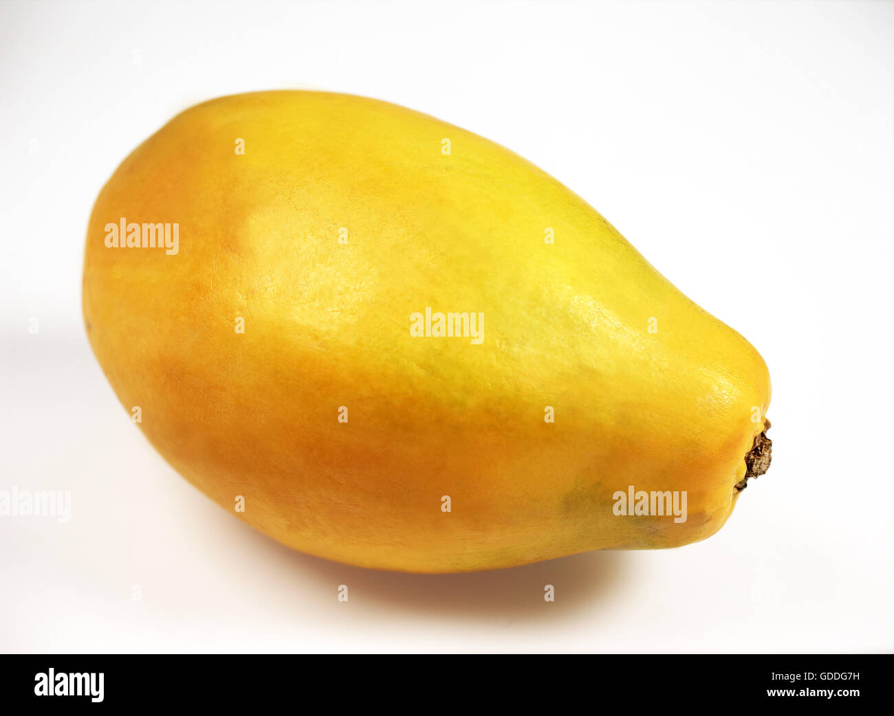 Paw Paw or Papaya, carica papaya, Exotic Fruit against White Background Stock Photo
