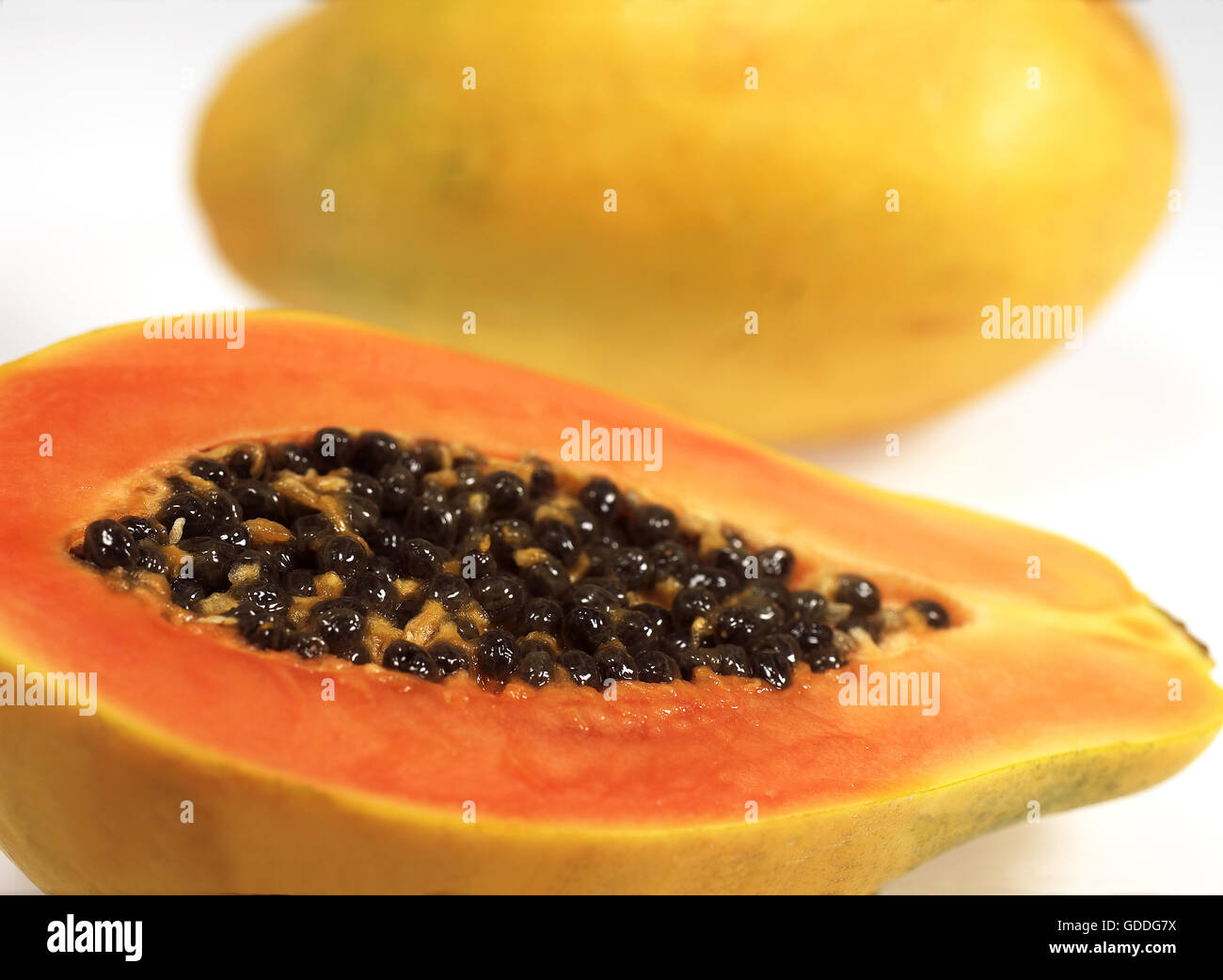 PAW PAW OR PAPAYA FRUIT carica papaya AGAINST WHITE BACKGROUND Stock Photo