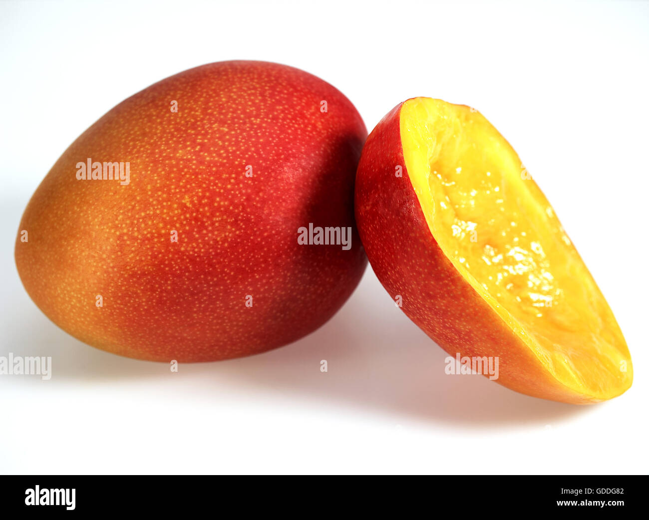 MANGO mangifera indica AGAINST WHITE BACKGROUND Stock Photo