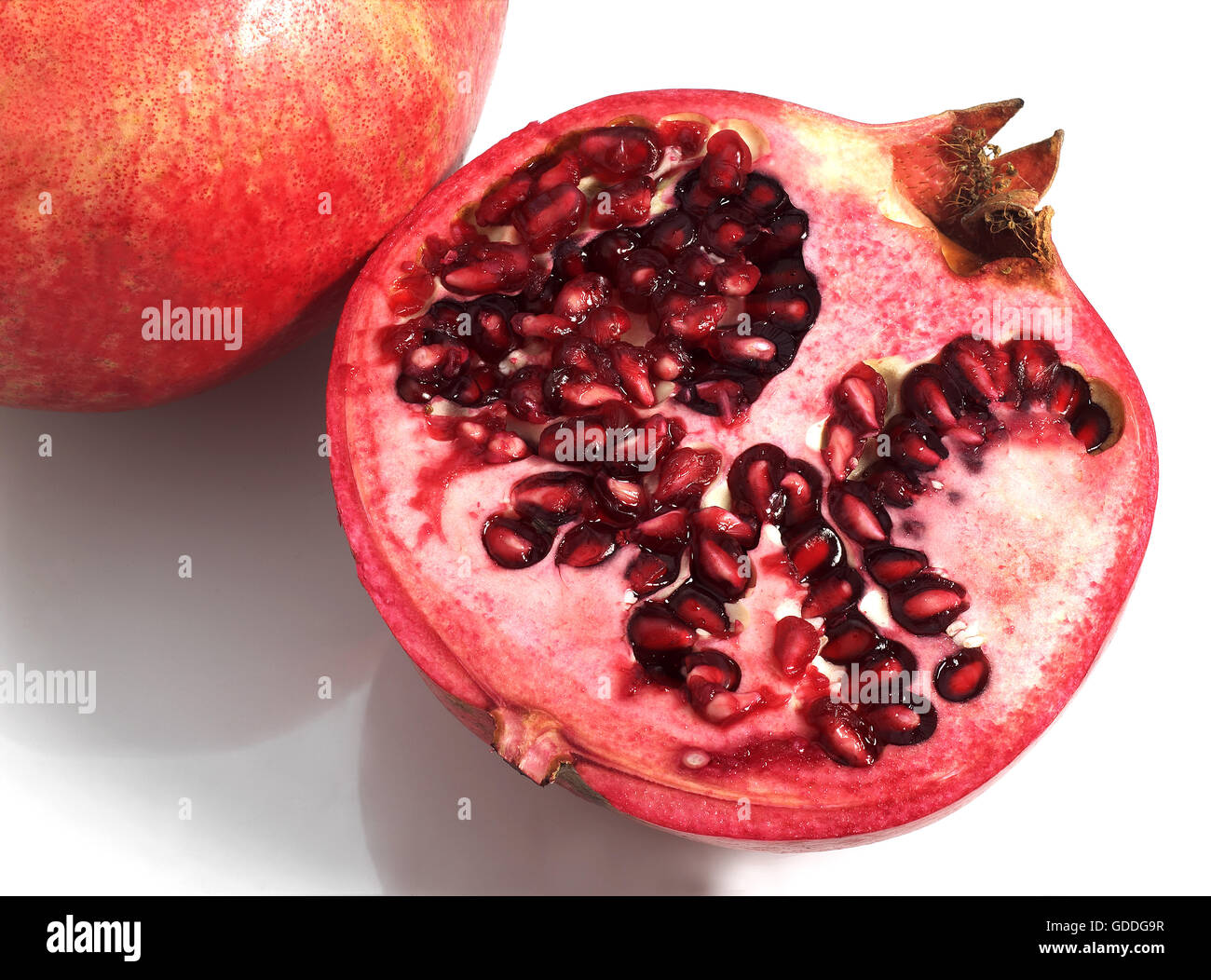 Pomegranata Fruit, punica granatum against White Background Stock Photo