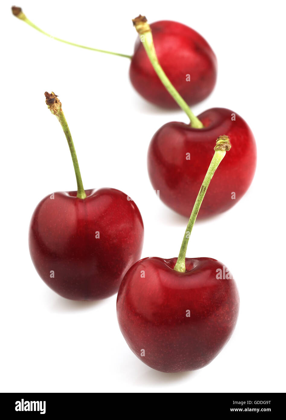 BIGARREAU CHERRIES (FRENCH SPECY) AGAINST WHITE BACKGROUND Stock Photo