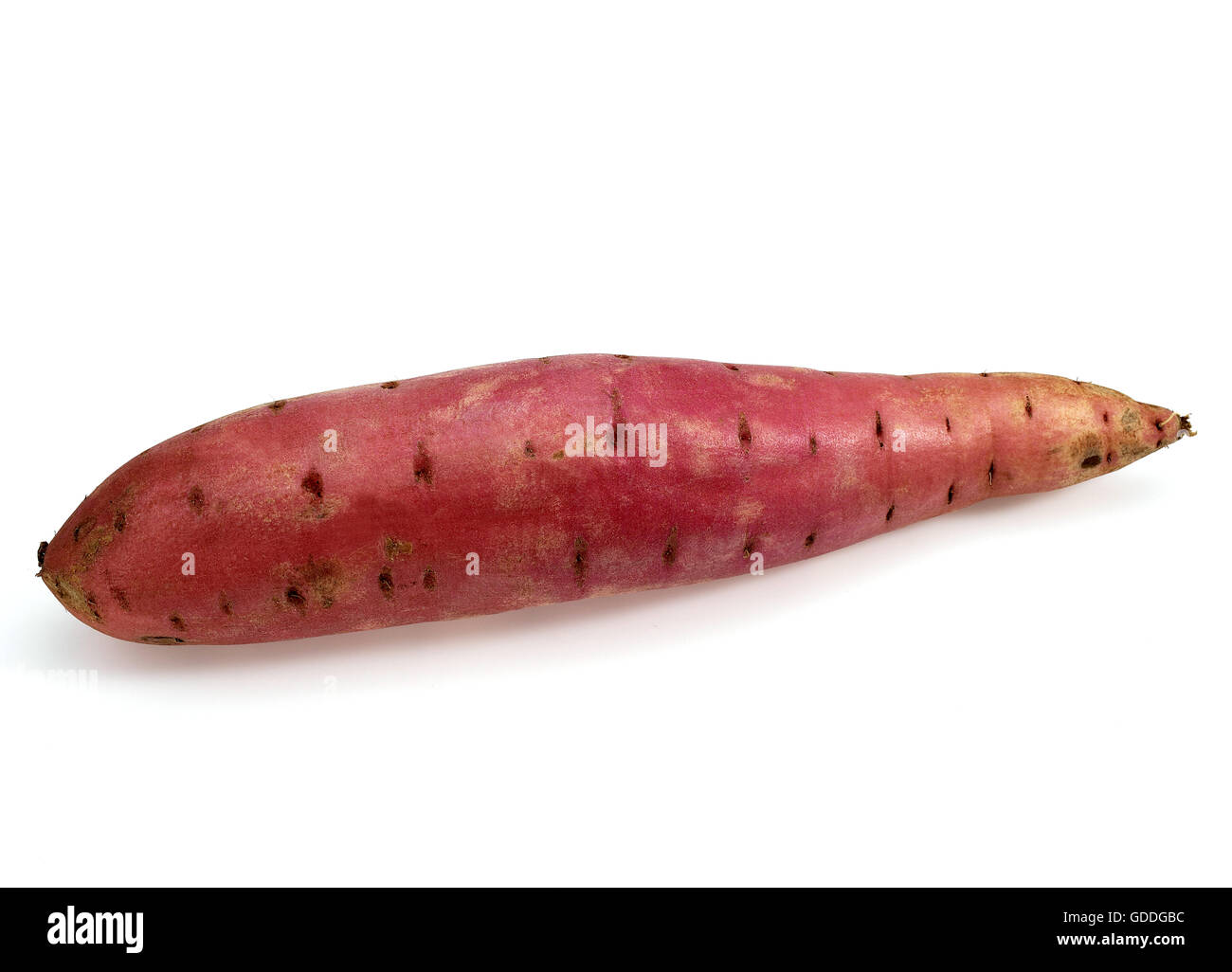 SWEET POTATO ipomoea batatas AGAINST WHITE BACKGROUND Stock Photo
