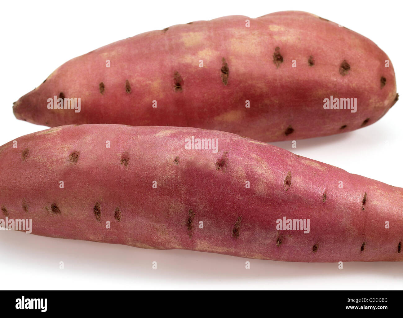 SWEET POTATO ipomoea batatas AGAINST WHITE BACKGROUND Stock Photo