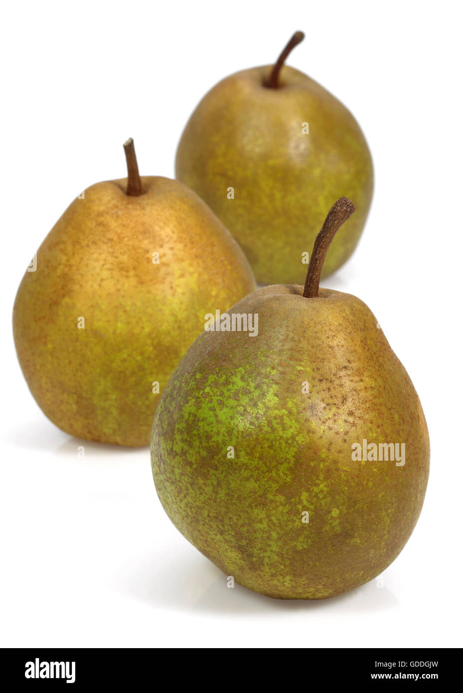 BEURRE HARDY PEAR pyrus communis AGAINST WHITE BACKGROUND Stock Photo