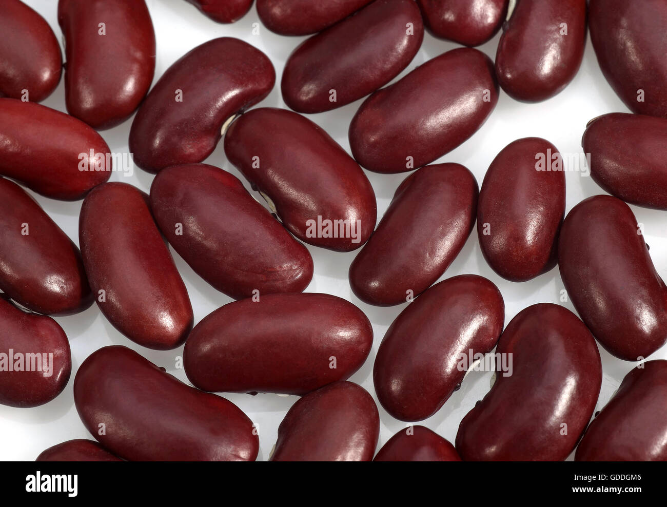 Red Beans, Dry Vegetable against White Background Stock Photo Alamy