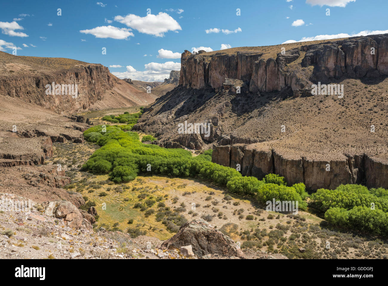 South America,Argentina,Santa Cruz,Patagonia,Cueva de los Manos,canyon at the cueva Stock Photo