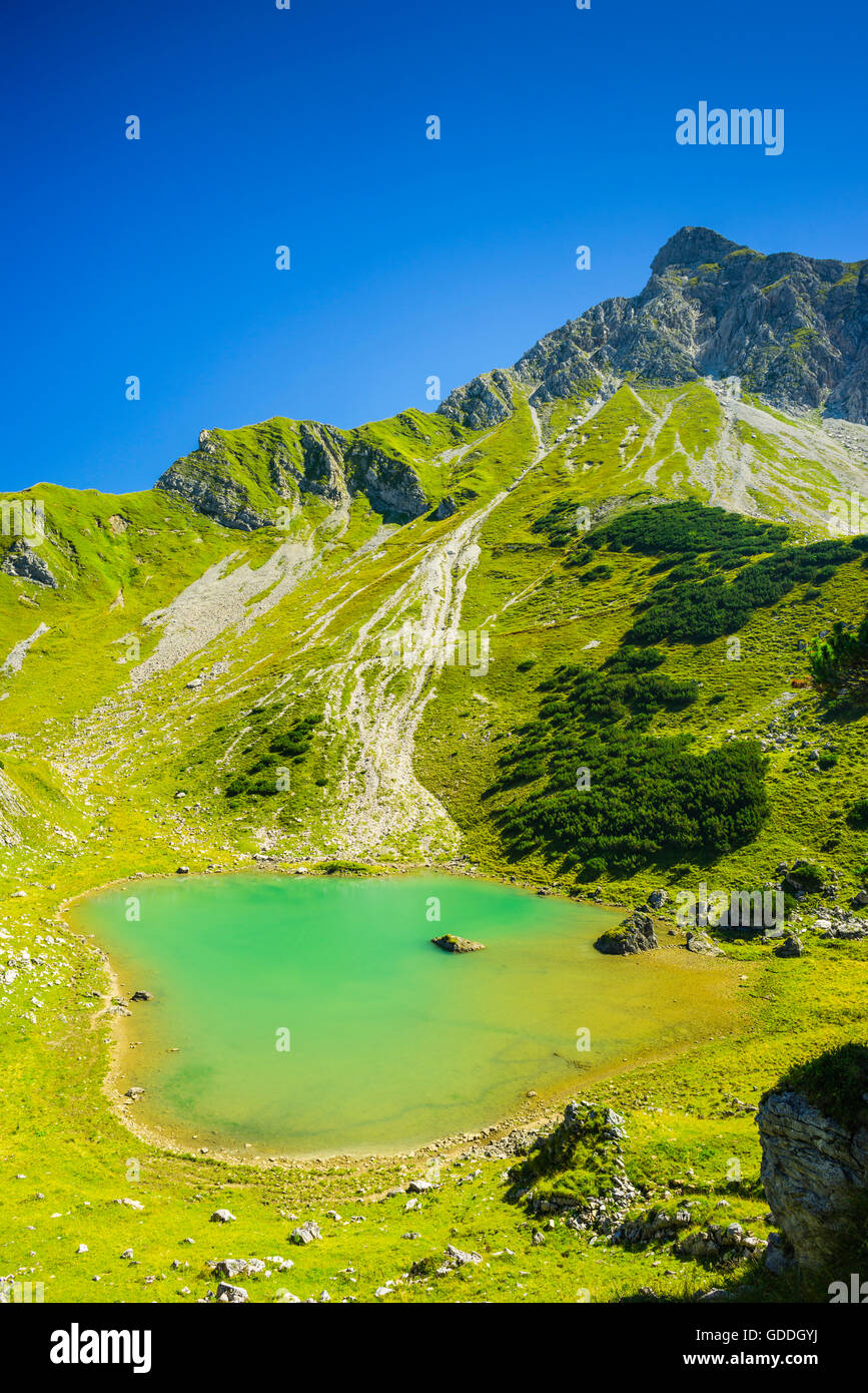 Allgäu,Allgäu Alps,Alps,Bavaria,near Oberstdorf,mountain,mountain ...