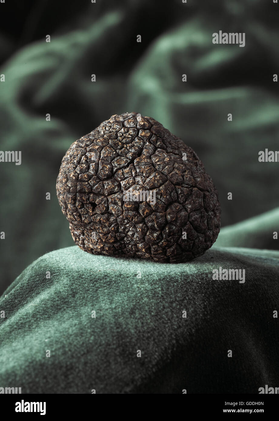 Brisures de truffes noires Tuber melanosporum - Truffes Richerenches