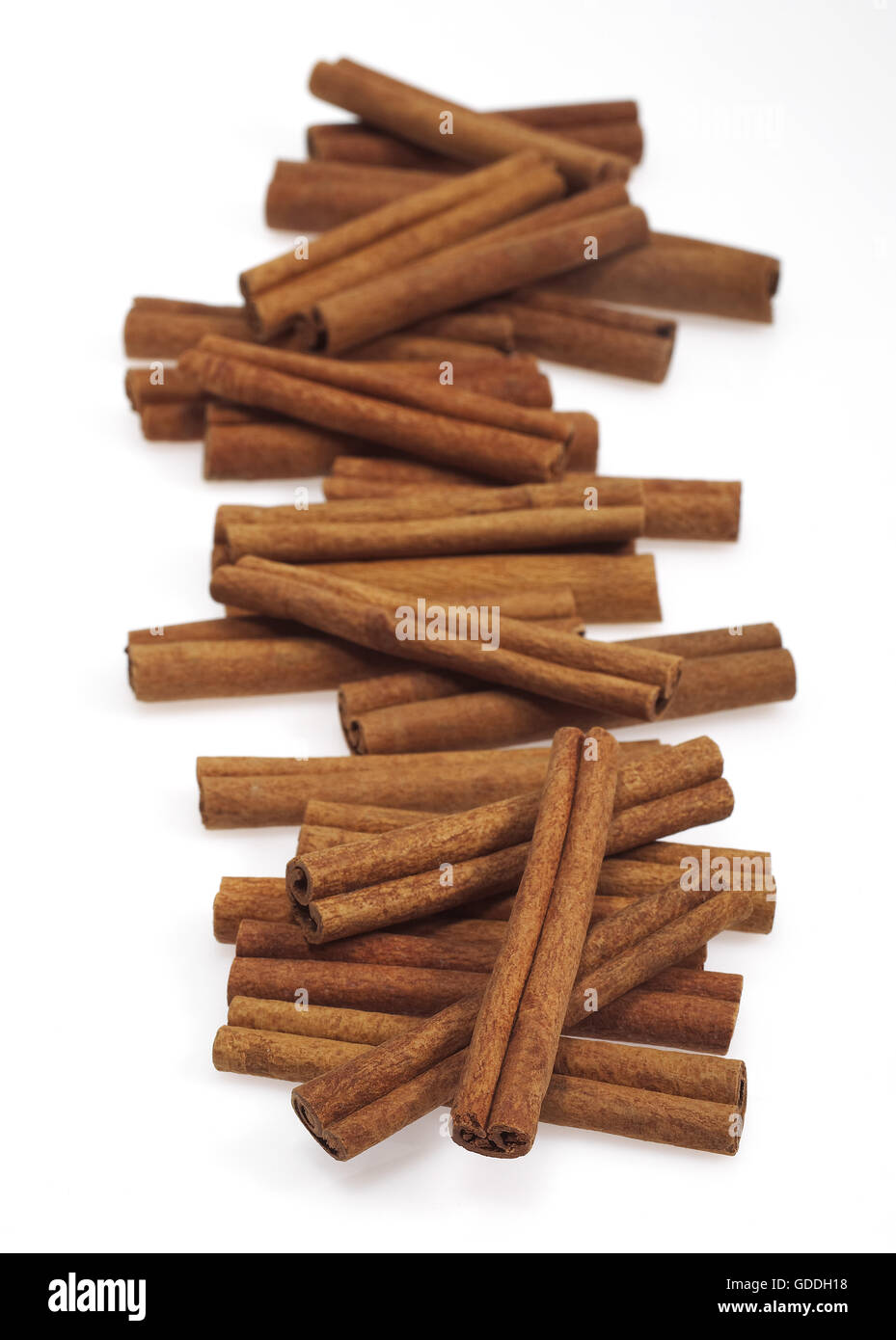 Cinnamon Bark, cinnamomum zeylanicum, Spice against White Background