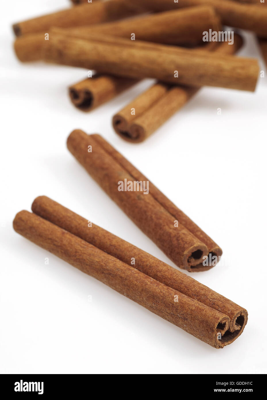 Cinnamon Bark, cinnamomum zeylanicum Stock Photo - Alamy