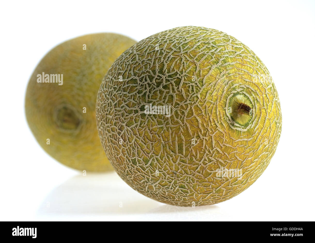 Italian Melon, cucumis melo, Fruit against White Background Stock Photo