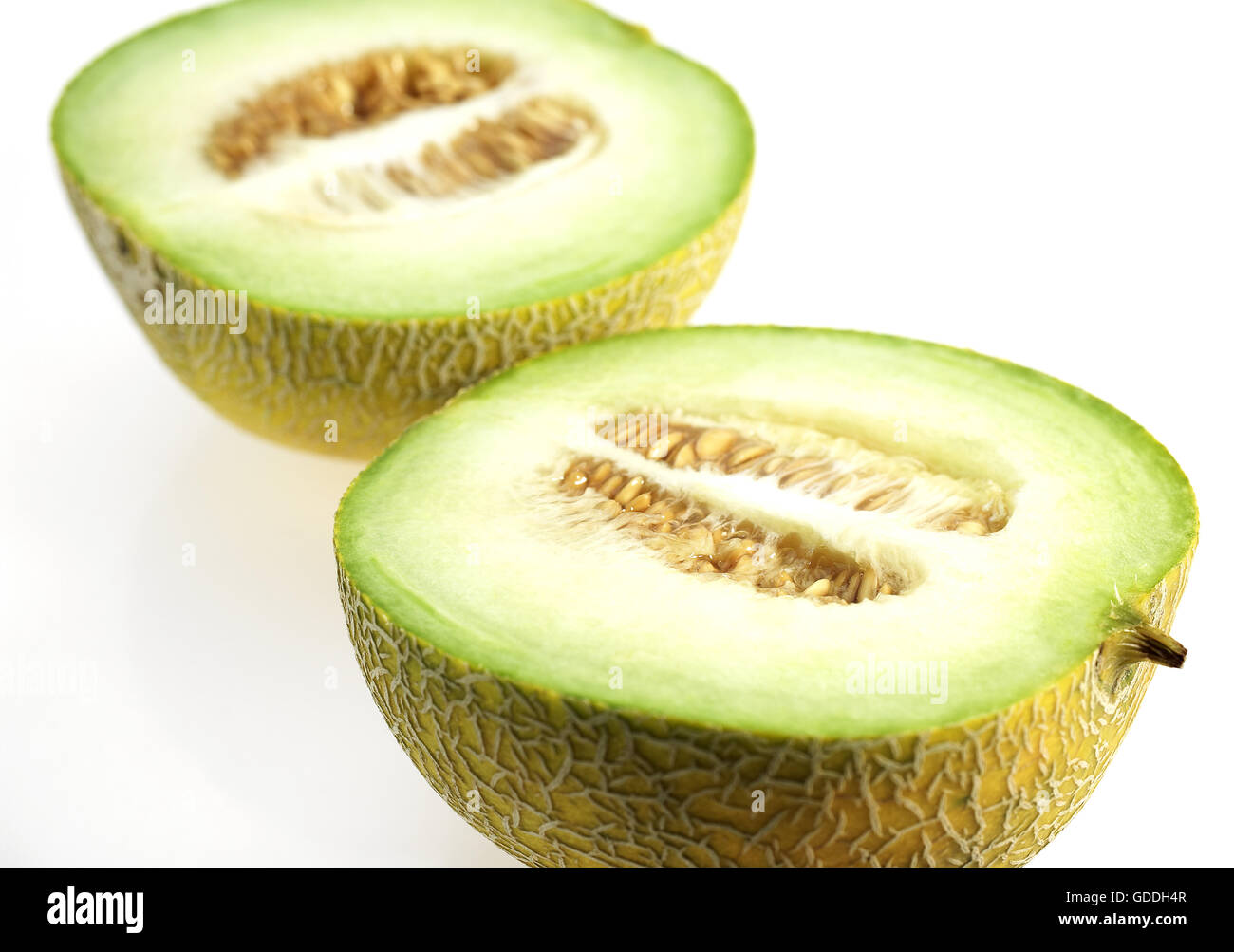 Italian Melon, cucumis melo, Fruits against White Background Stock
