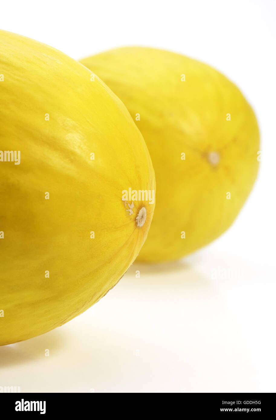 Yellow Spanish Melon, cucumis melo, Fruits against White Background