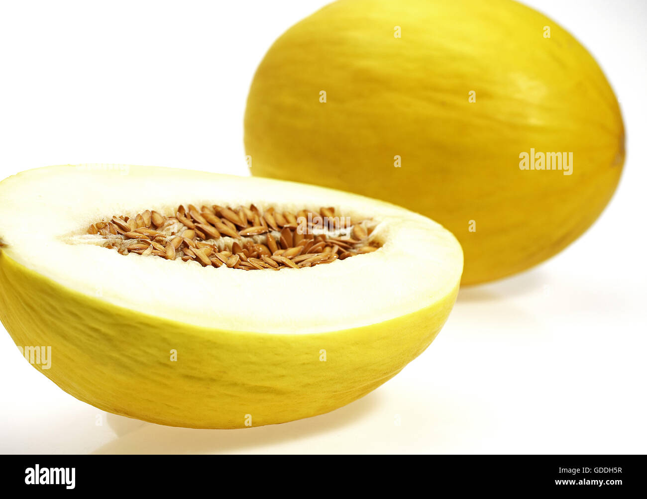 Yellow Spanish Melon, cucumis melo, Fruits against White Background