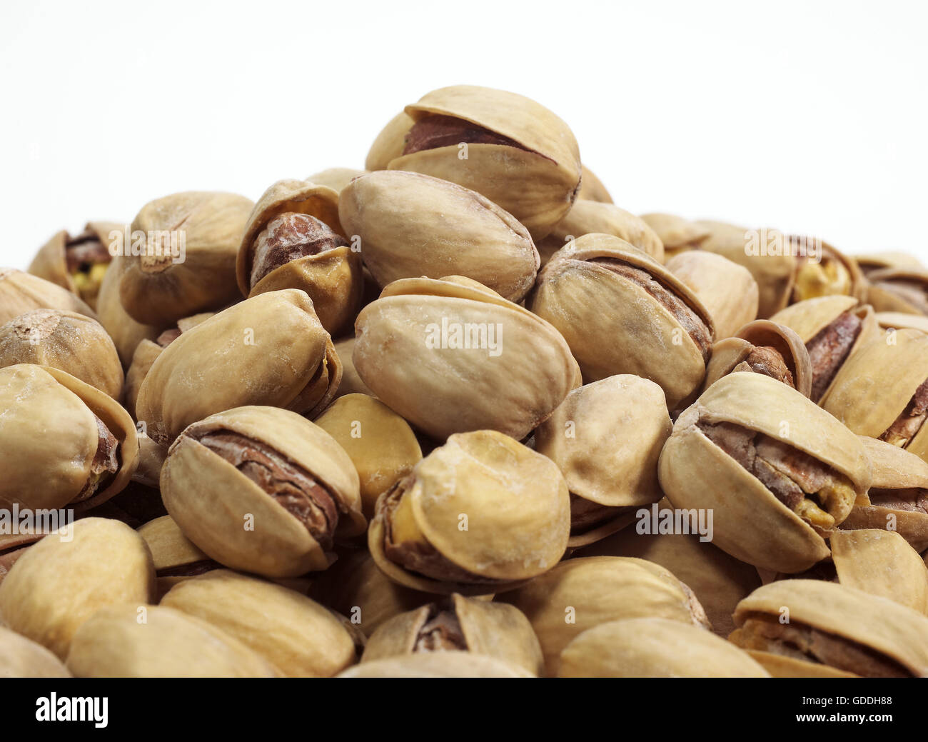 Pistachio Nuts, pistacia vera, Dry Fruits against White Background