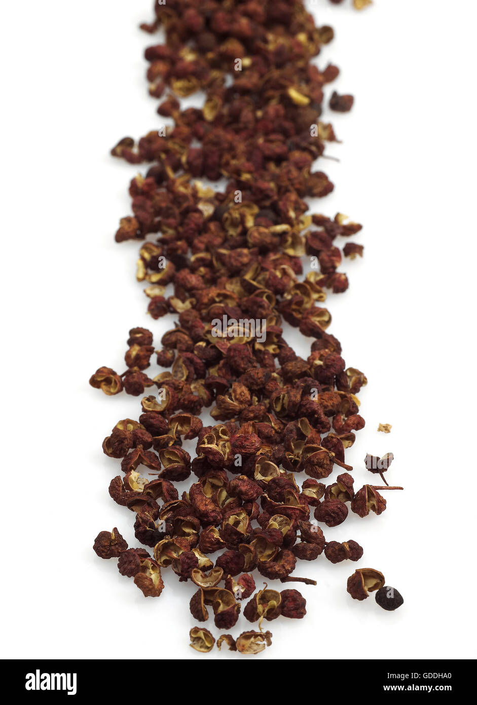 Czechuan or Sichuan Pepper, zanthoxylum simulans, against White Background Stock Photo