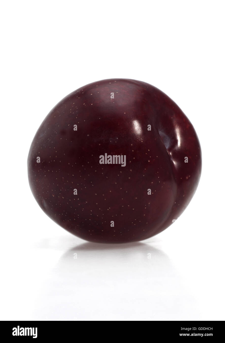 Red Plum, Fruit against White Background Stock Photo