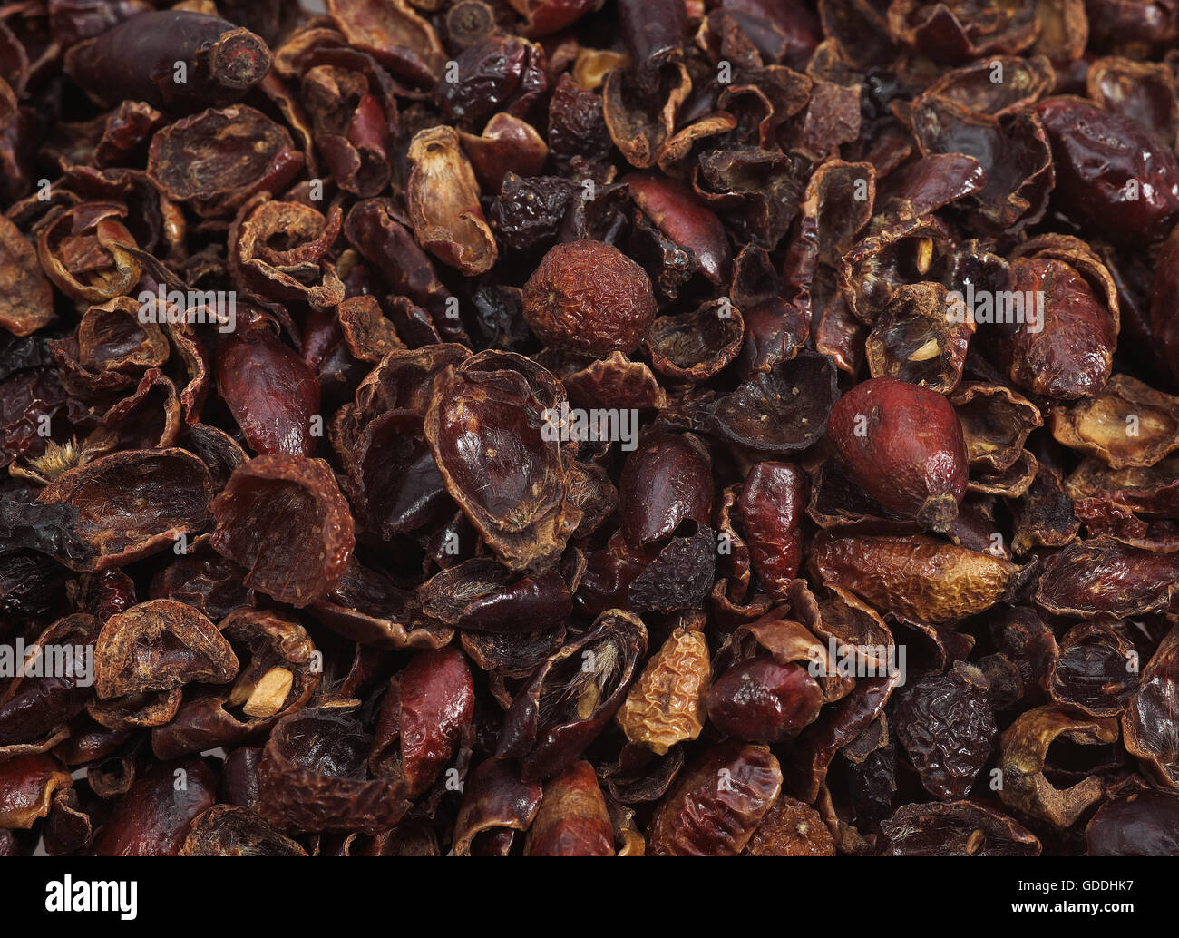 DOG ROSE DRY FRUITS Stock Photo Alamy