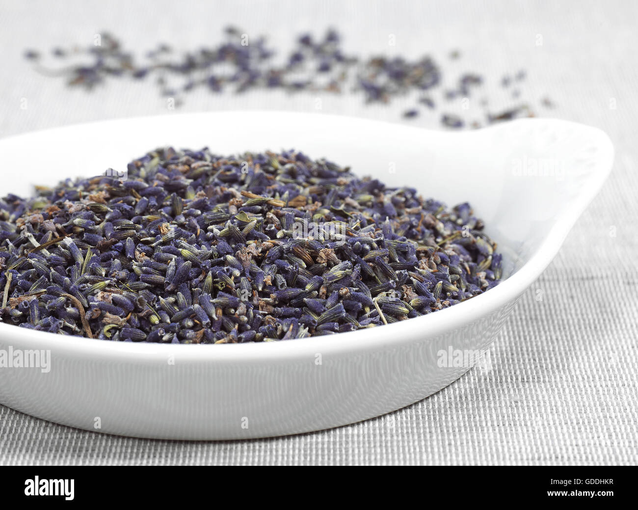 Lavender, lavandula sp, Dry blossoms Stock Photo