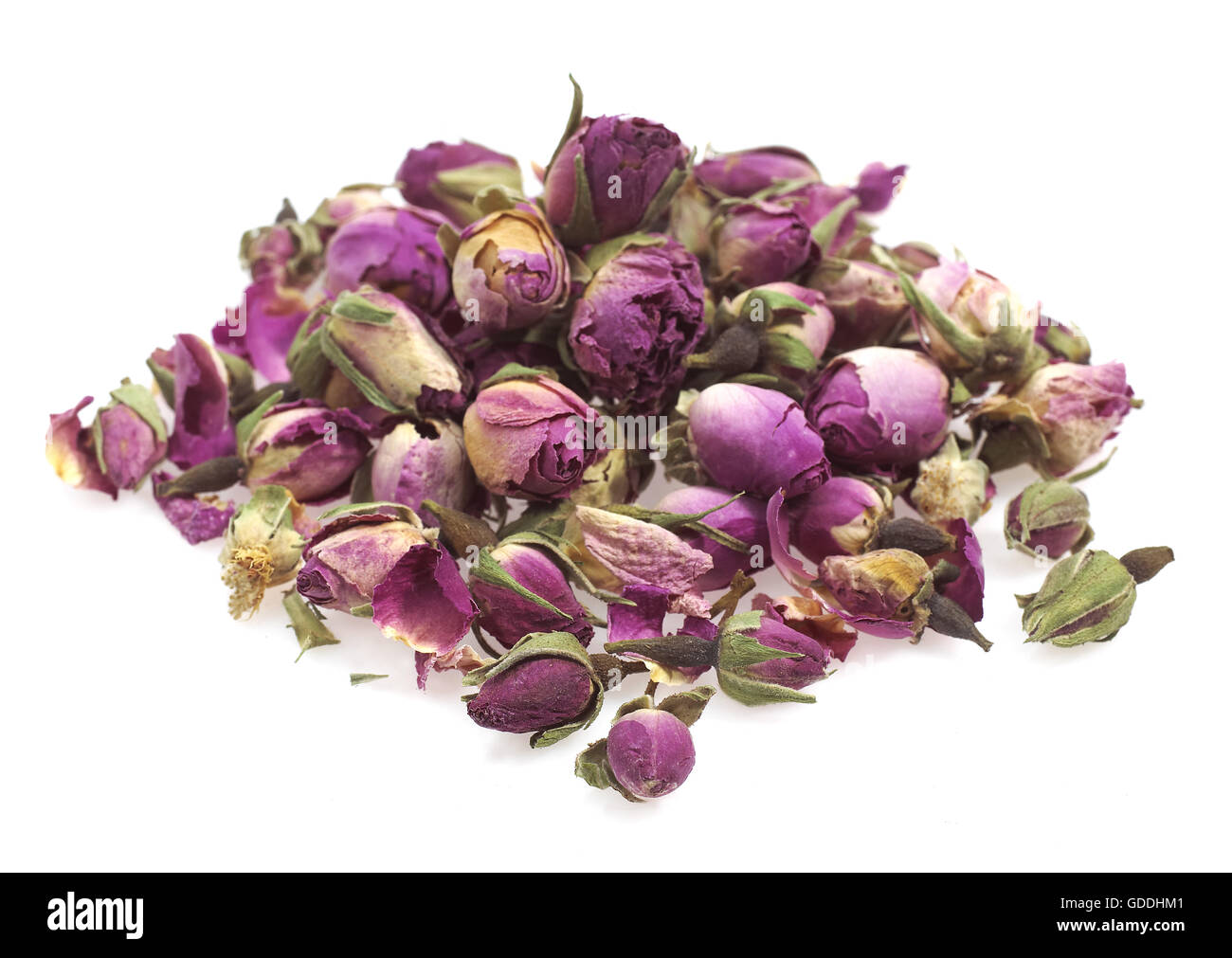 Rose, Rosa sp., Dry Rosebud against White Background Stock Photo