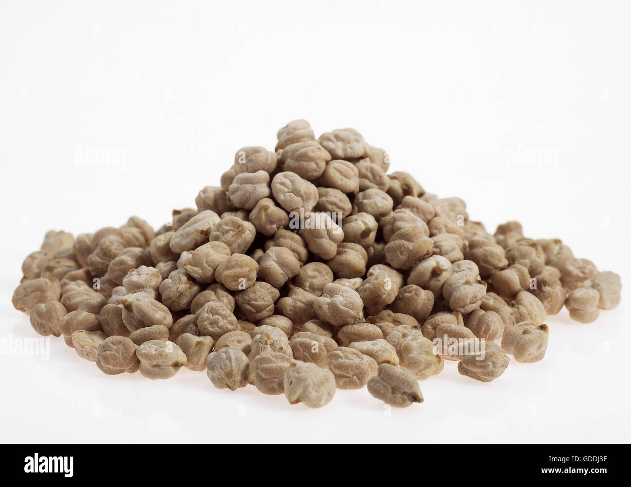 Dry Chickpeas, cicer arietinum Stock Photo