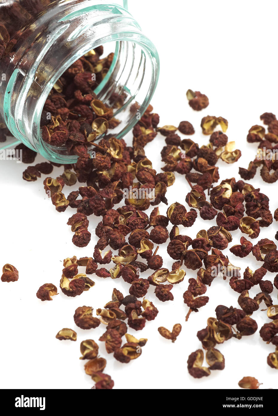 CZECHUAN OR SICHUAN PEPPER AGAINST WHITE BACKGROUND Stock Photo