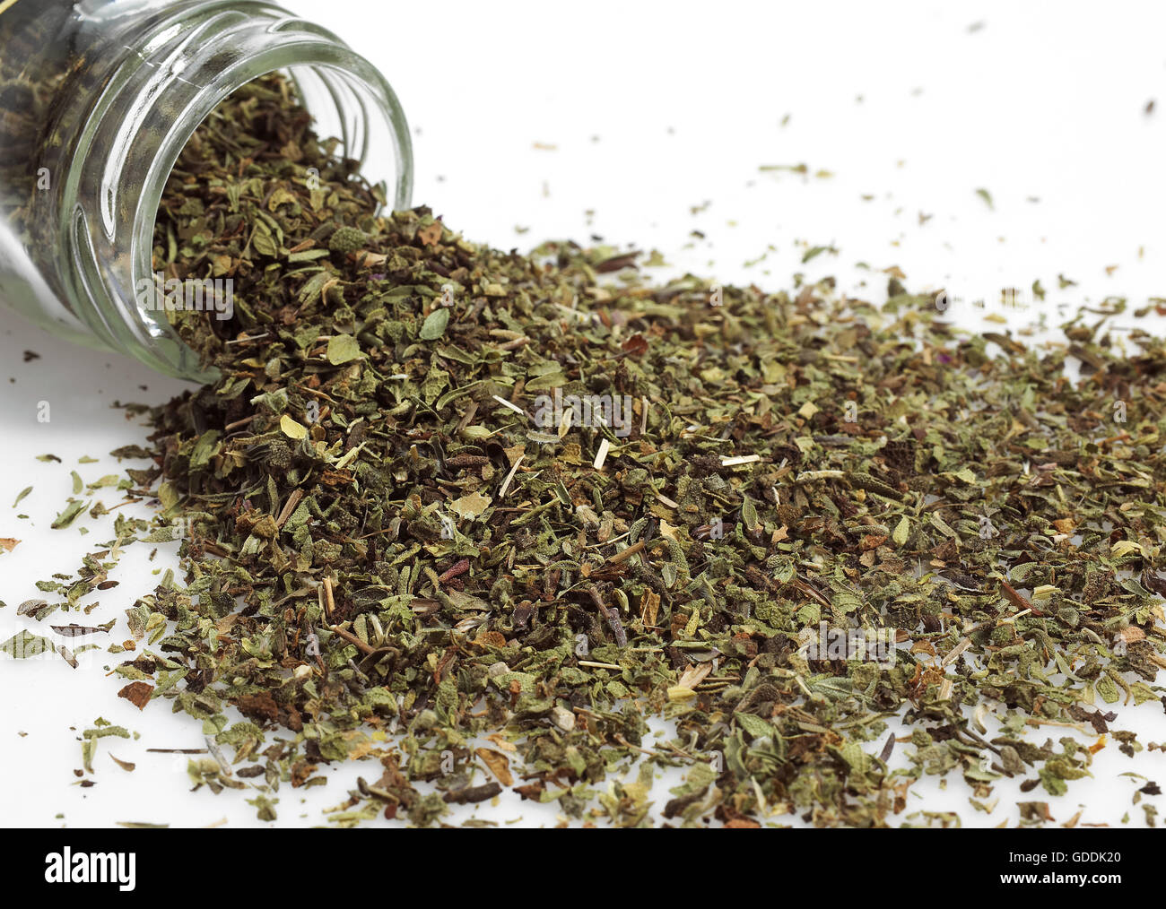 OREGANO OR MARJORAM AGAINST WHITE BACKGROUND Stock Photo Alamy