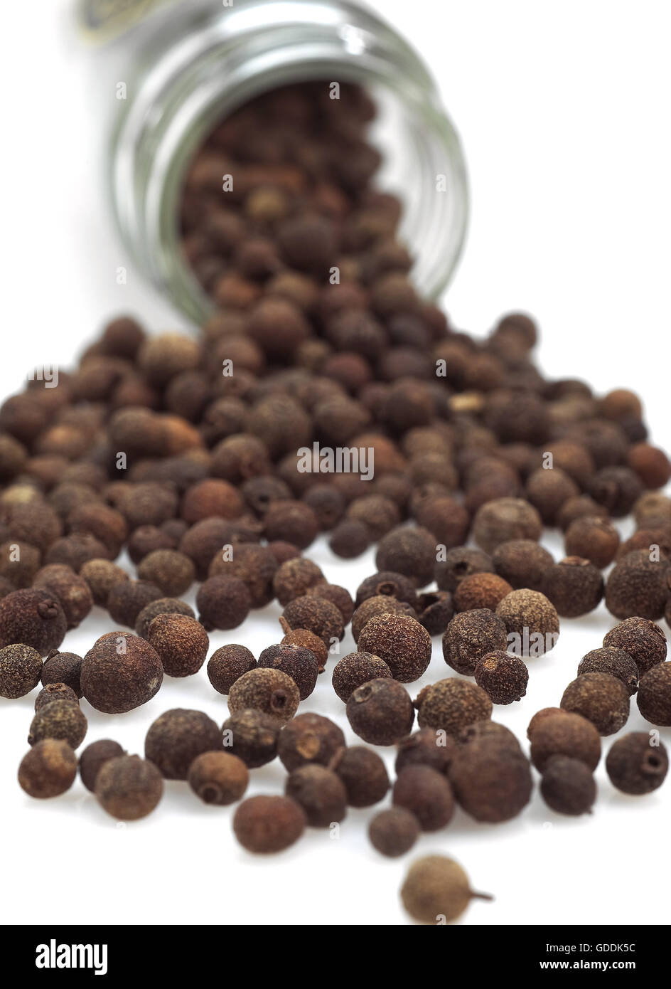 JAMAICA PEPPER AGAINST WHITE BACKGROUND Stock Photo Alamy
