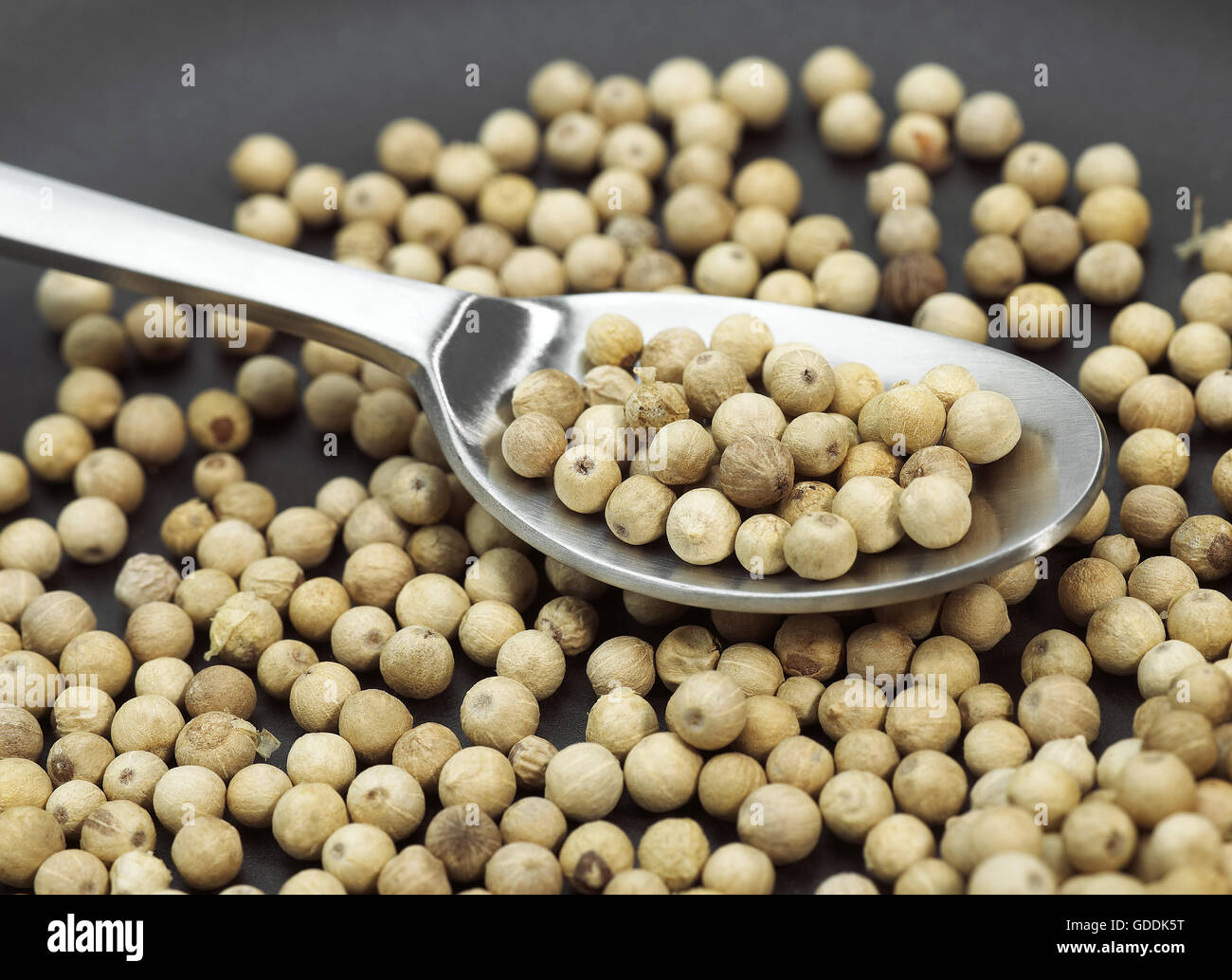 WHITE PEPPERCORN IN A SPOON Stock Photo