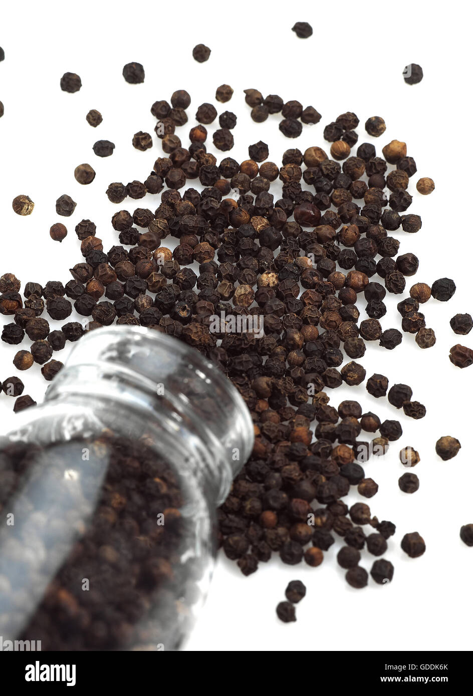 BLACK PEPPERCORN AGAINST WHITE BACKGROUND Stock Photo