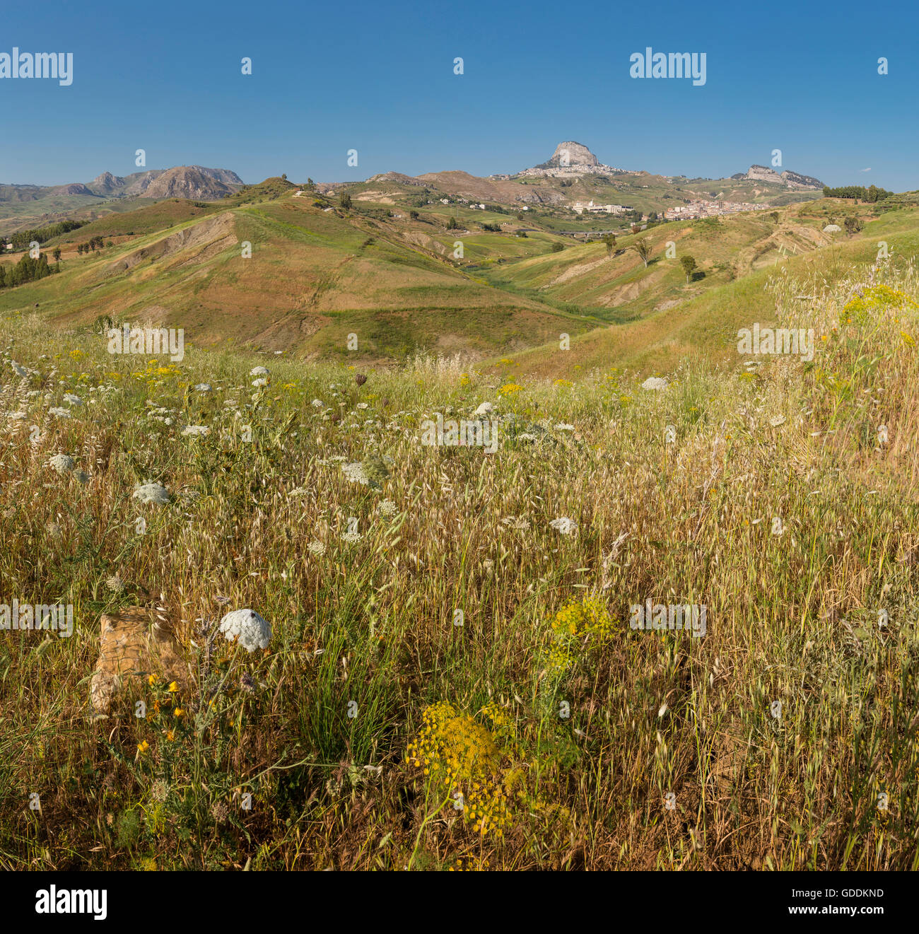 Hilly landscape in central Sicily Stock Photo
