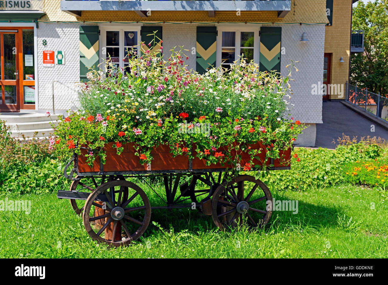 field cart,flowers,decoration,adornment, Stock Photo