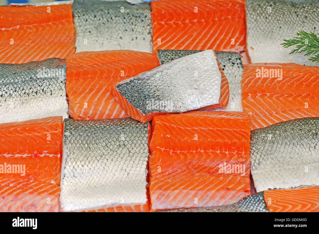 Fresh Salmon at Fishmonger's shop Stock Photo